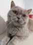 Anouk (3)